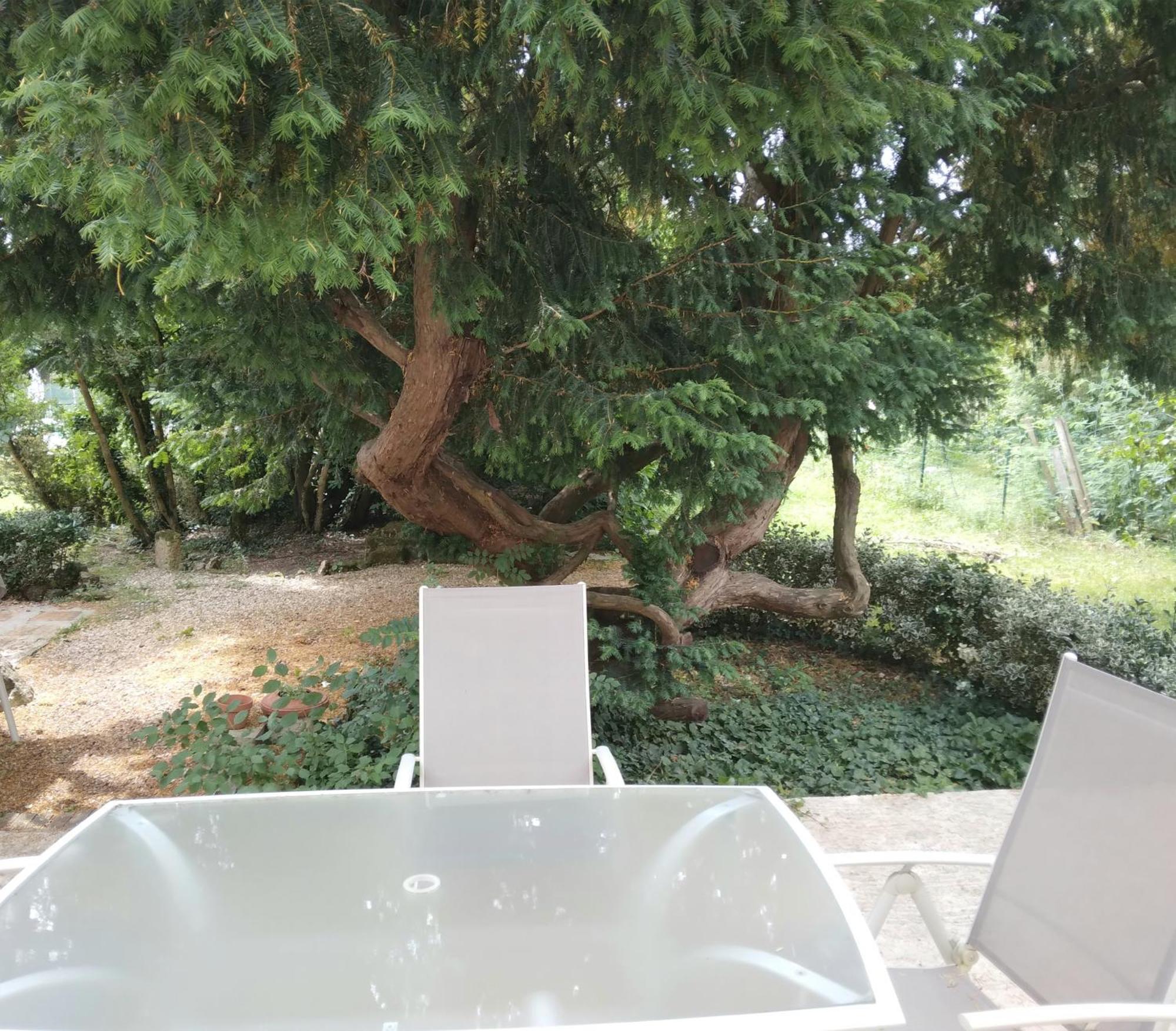Cinegite Du Jardin Aux Etoiles - Proche De Saint Emilion Habitación foto